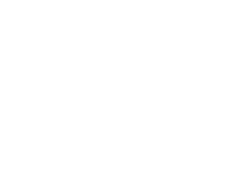 Visible Wealth Planning Logo